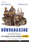 Bűnvadászok (1977)