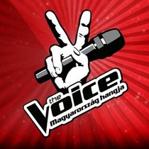 The Voice – Magyarország hangja (2012–2013)