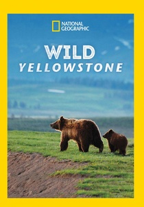 Vad Yellowstone (2015–)