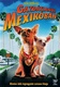 Gazdátlanul Mexikóban (2008)