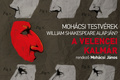 A velencei kalmár (2013)