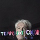 Temporary Color (2016)