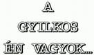 A gyilkos én vagyok (1994)