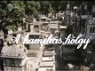 A kaméliás hölgy (1986)