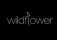 Wildflower (2022)