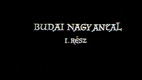 Budai Nagy Antal (1971–)