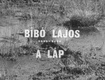 A láp (1973)