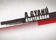 A gyanú árnyékában (2012–)