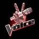 The Voice (US) (2011–)