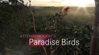 Attenborough's Paradise Birds (2015)