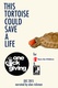 This Tortoise Could Save a Life (2015)