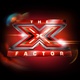 X-Faktor (2010–)