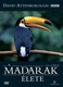 A madarak élete (1998–1998)