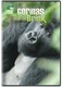 Egy faj megmentése: Gorillák a kihalás szélén (2007)