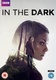 In the Dark (2017–2017)