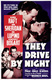 Éjszaka az úton (1940)