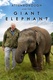 Attenborough and the Giant Elephant (2017)