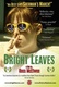 Bright Leaves (2003)