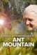 David Attenborough's Ant Mountain (2017)