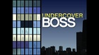 Undercover Boss (2009–2014)