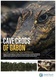 Gabon barlangi krokodiljai (2018)