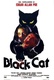 A fekete macska (1981)