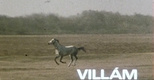 Villám (1981)