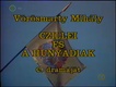 Czillei és a Hunyadiak (1988)