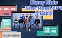 Star Road: Stray Kids (2020–2020)