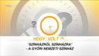 Hogy volt ?!… (2010–)