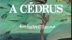 A cédrus (Csontváry Kosztka Tivadar emlékének) (1977)