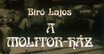 A Molitor ház