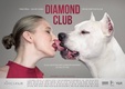 Diamond Club (2011)